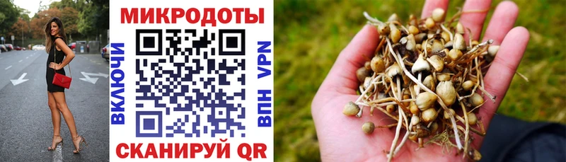 Галлюциногенные грибы MAGIC MUSHROOMS Беломорск
